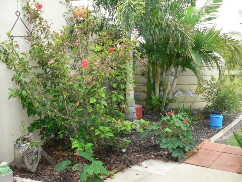 64 Nautilus Drive, Cooloola Cove QLD 4580