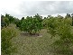 64 Nautilus Drive, Cooloola Cove QLD 4580