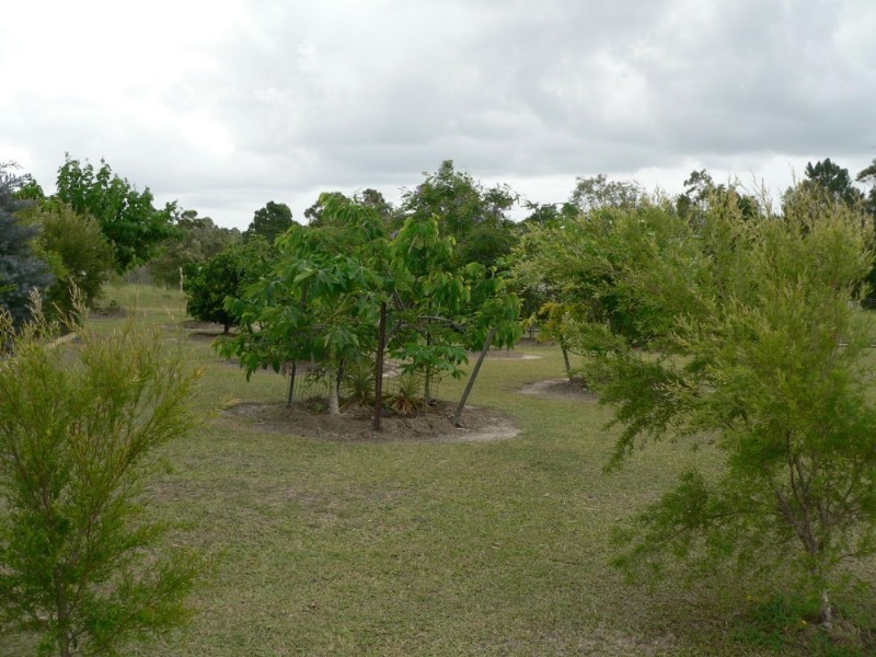 64 Nautilus Drive, Cooloola Cove QLD 4580