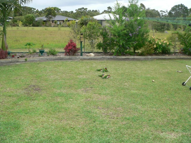 64 Nautilus Drive, Cooloola Cove QLD 4580