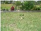 64 Nautilus Drive, Cooloola Cove QLD 4580