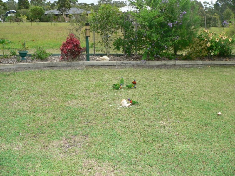 64 Nautilus Drive, Cooloola Cove QLD 4580