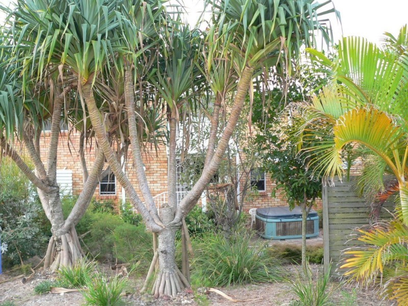 13 Tingira Close, Rainbow Beach QLD 4581