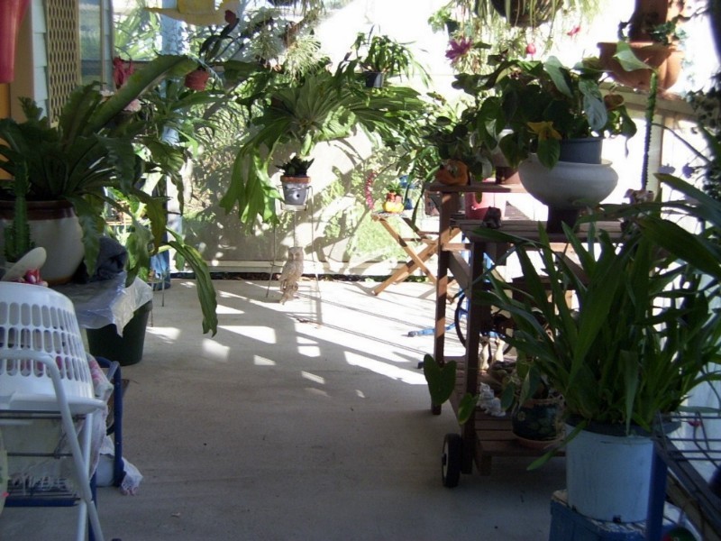 130 Investigator Avenue, Cooloola Cove QLD 4580