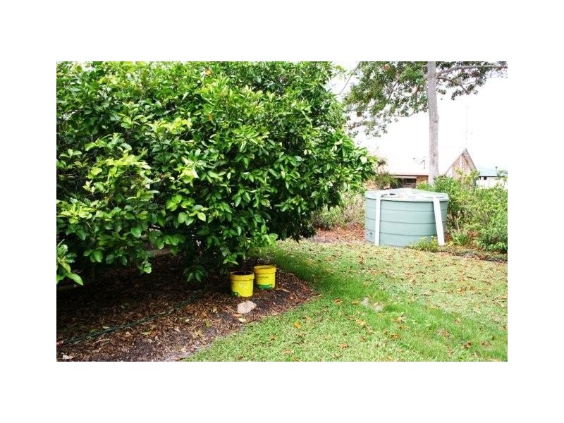 54 Investigator Drive, Cooloola Cove QLD 4580