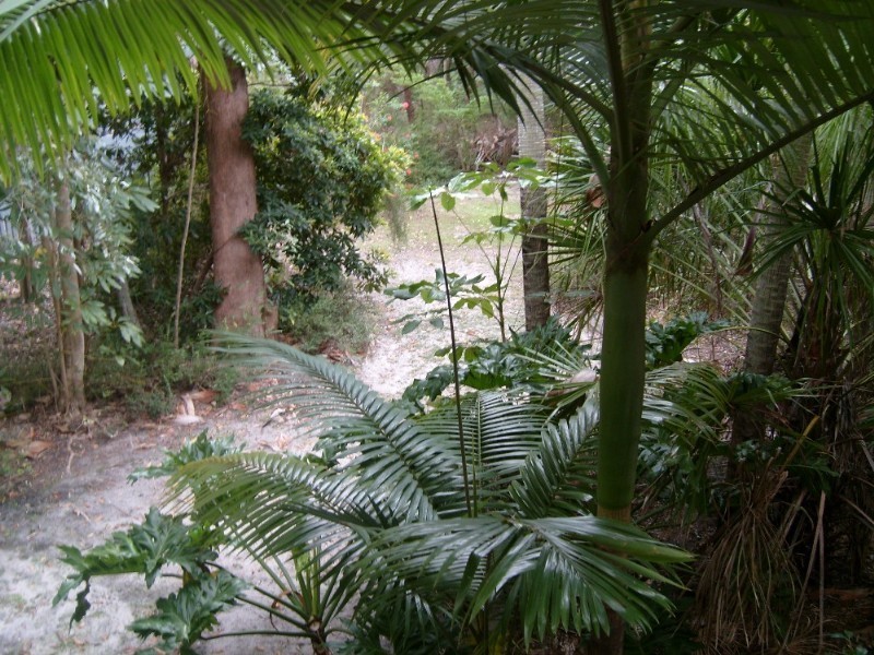 6 Satinwood Avenue, Rainbow Beach QLD 4581