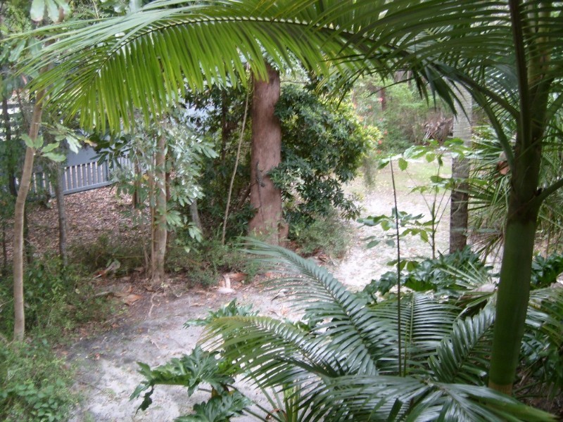 6 Satinwood Avenue, Rainbow Beach QLD 4581