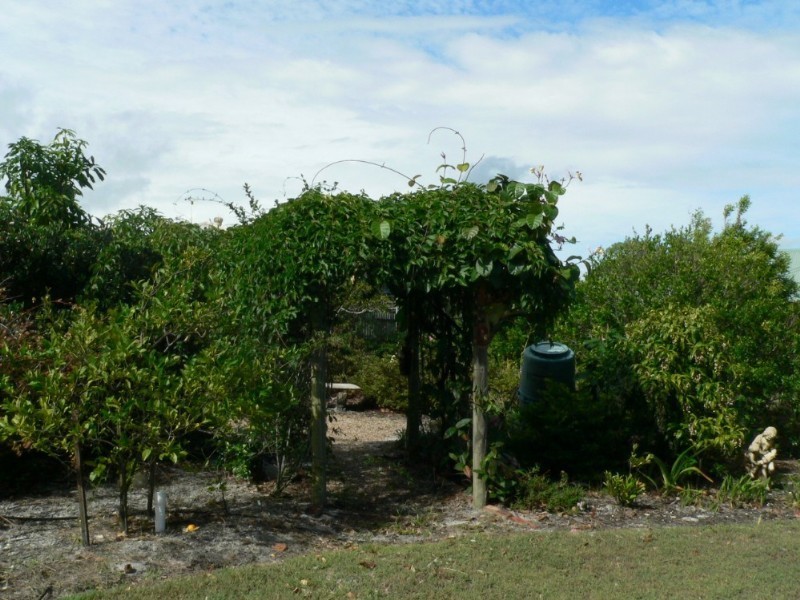 10 Coolberry Court, Rainbow Beach QLD 4581