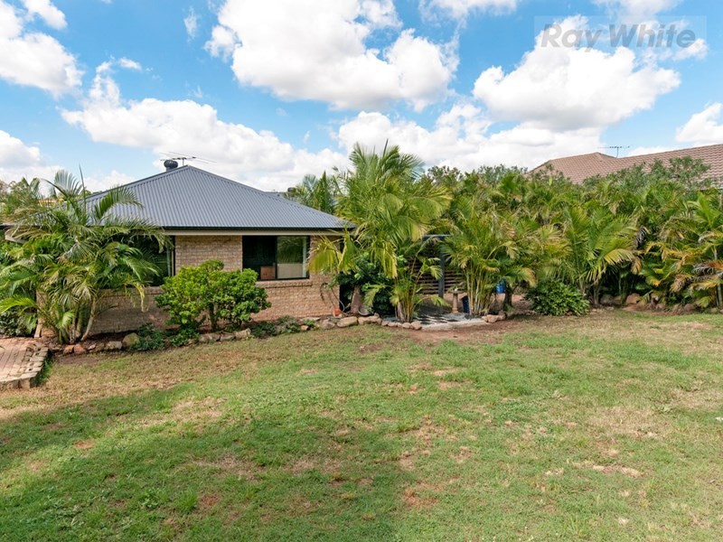 11 Bassili Drive, Collingwood Park QLD 4301