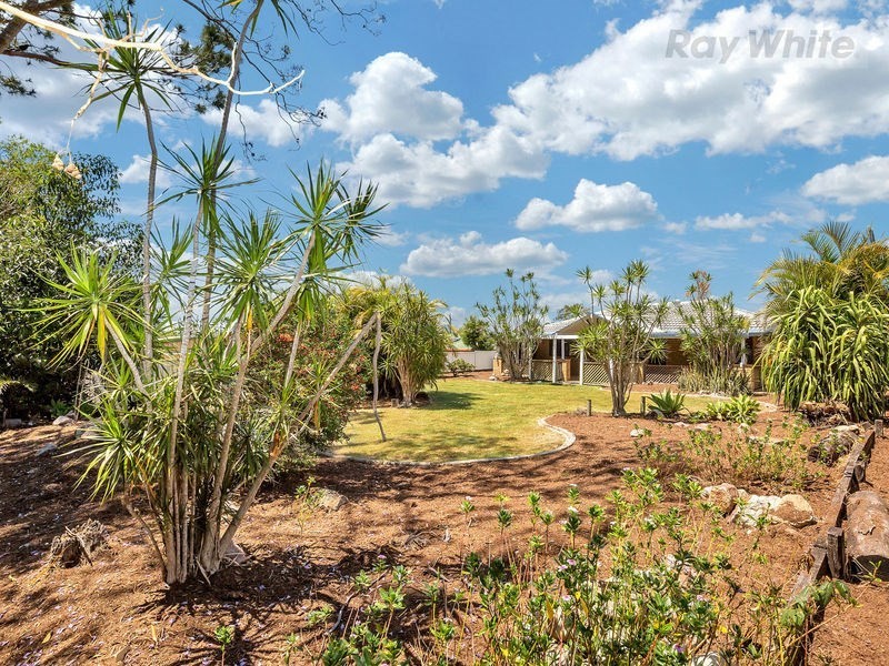 6 Stella Street, Camira QLD 4300