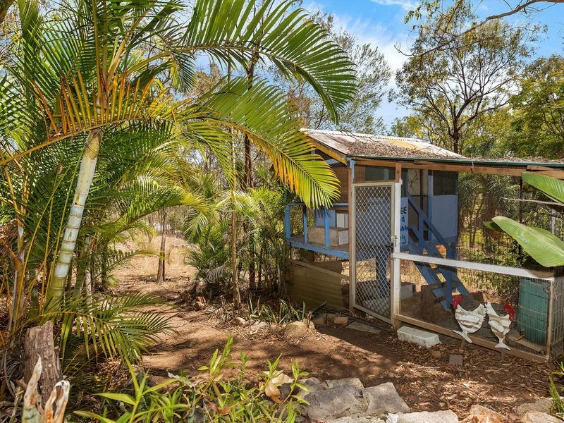 119 Fiona Street, Bellbird Park QLD 4300