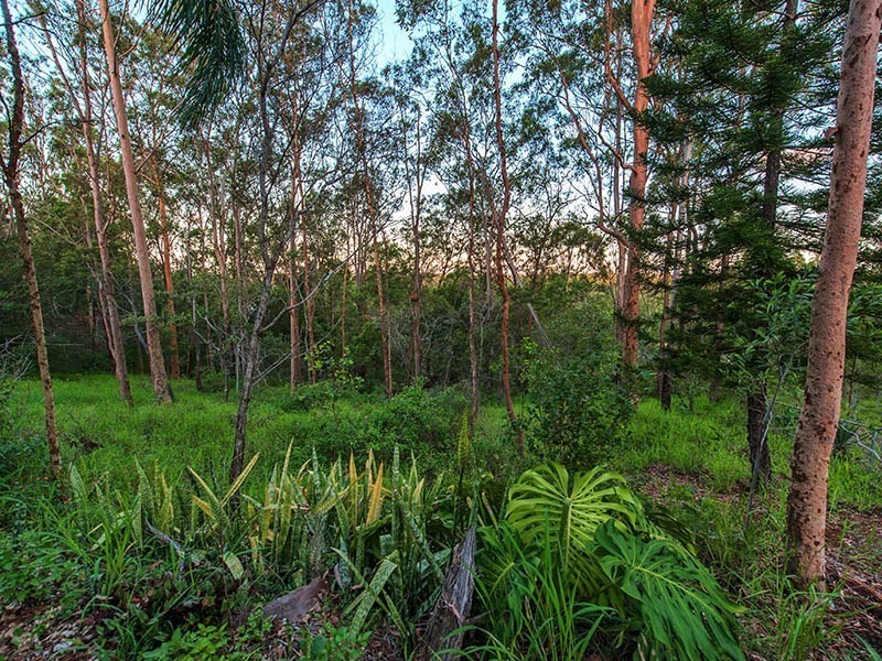 34 Fiona Street, Bellbird Park QLD 4300