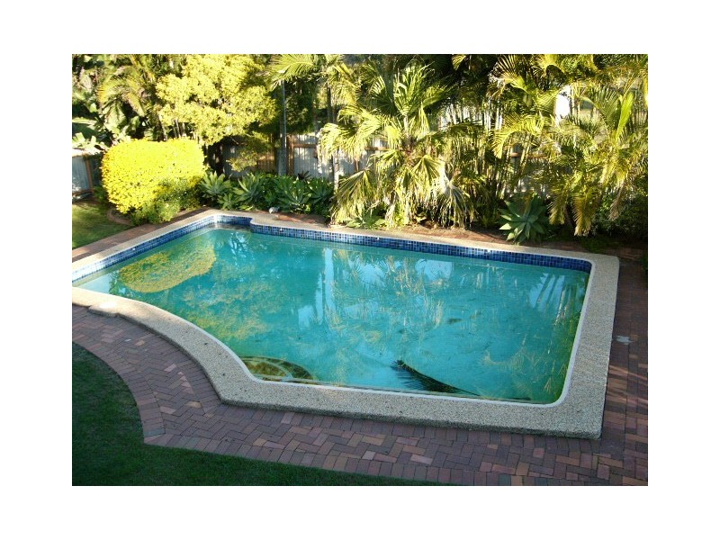 31 Morgan Street, Bellbird Park QLD 4300