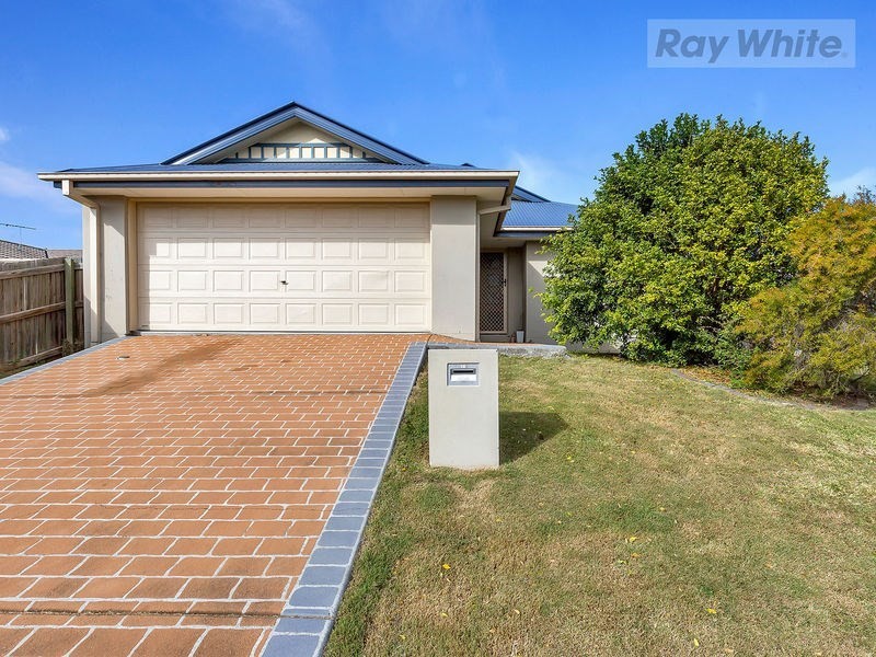 19 Collins Street, Collingwood Park QLD 4301