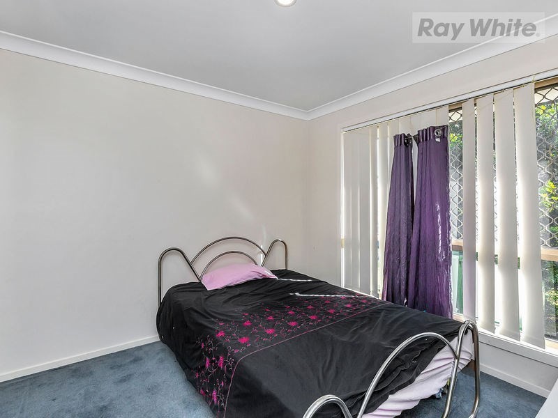 19 Collins Street, Collingwood Park QLD 4301