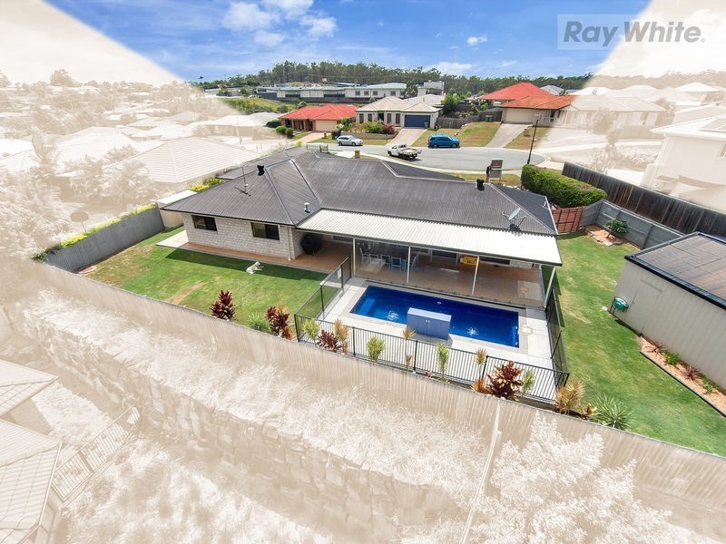 9 Plunkett Court, Collingwood Park QLD 4301