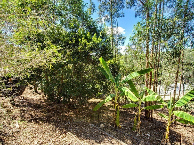 121 Eugene Street, Bellbird Park QLD 4300