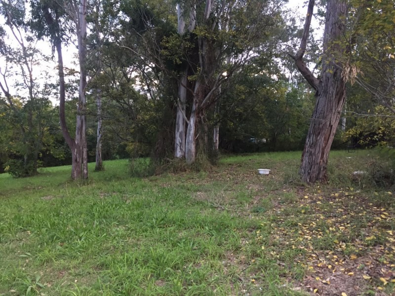 43 Duncan Street, Riverview QLD 4303