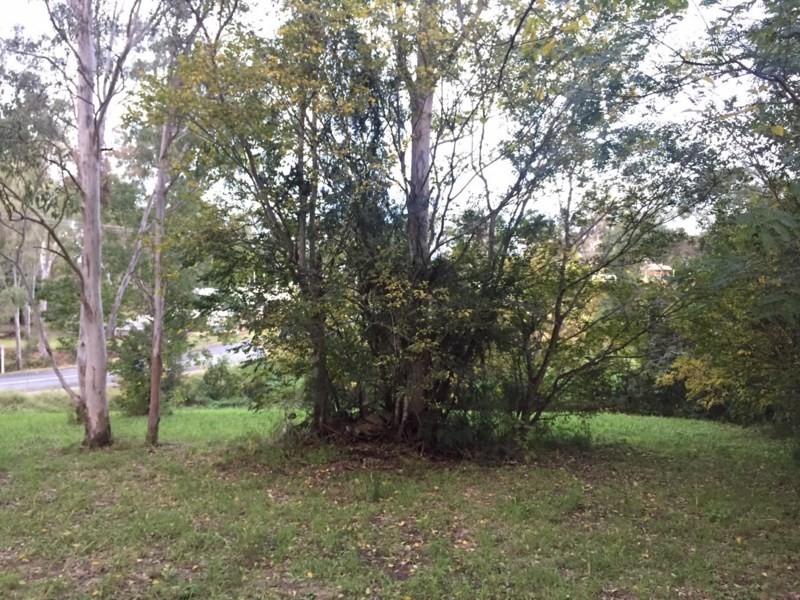 43 Duncan Street, Riverview QLD 4303