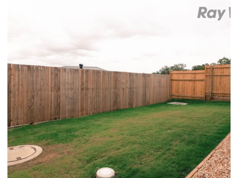 11 Norton Sands Drive, Redbank Plains QLD 4301
