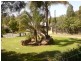 5 Ipswich Street, Riverview QLD 4303