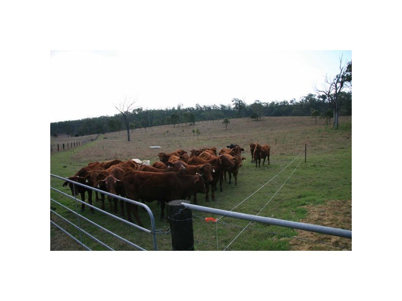 Peak Crossing QLD 4306