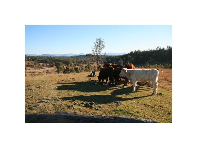 Peak Crossing QLD 4306