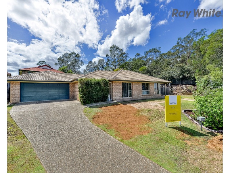 31 Dove Place, Springfield QLD 4300