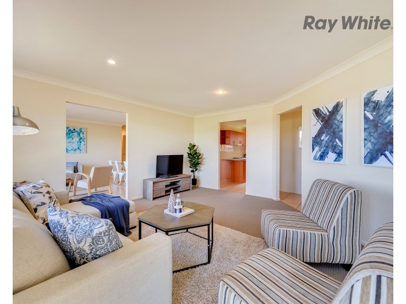 31 Dove Place, Springfield QLD 4300