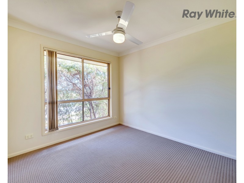 31 Dove Place, Springfield QLD 4300