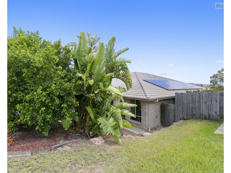 2/49 Cheihk Crescent, Collingwood Park QLD 4301