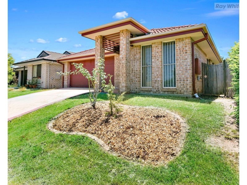 10 Pearse Street, Collingwood Park QLD 4301