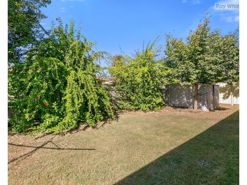 142 Henty Drive, Redbank Plains QLD 4301