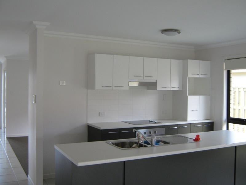 17 Daryl Reinhardt Street, Redbank Plains QLD 4301