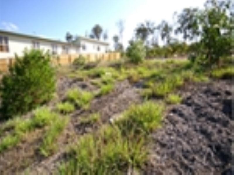 16 Heathwood Place, Collingwood Park QLD 4301
