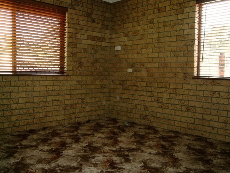 39 Cudgee Street, Redbank Plains QLD 4301