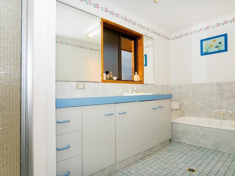 17 Karen Street, Camira QLD 4300