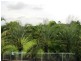 113 CEDAR Road, Redbank Plains QLD 4301