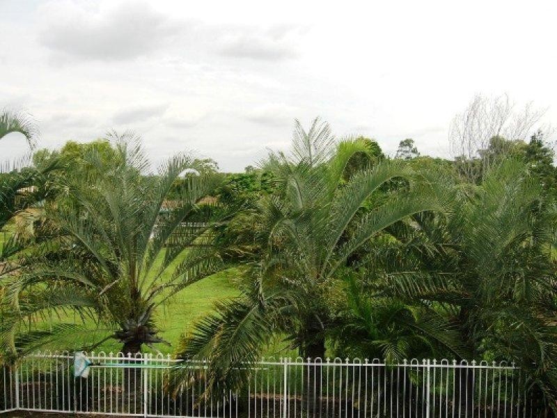 113 CEDAR Road, Redbank Plains QLD 4301