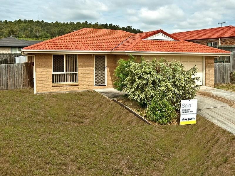 17 Burrawang Street, Redbank Plains QLD 4301