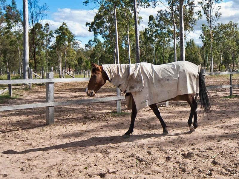 122 Tillack, Gatton QLD 4343