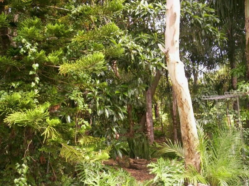 14 School Road, Redbank Plains QLD 4301