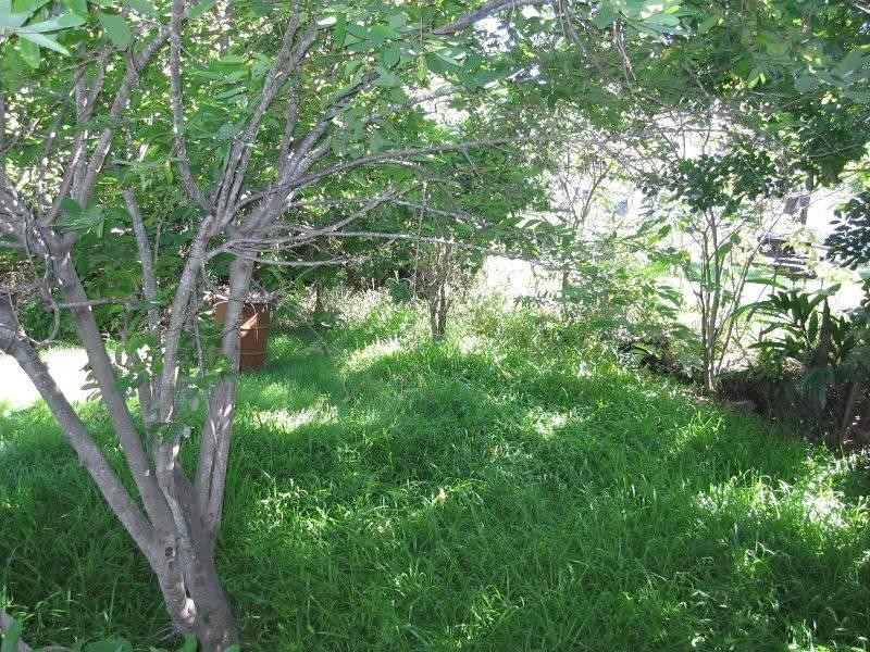 3 Edna Street, Goodna QLD 4300