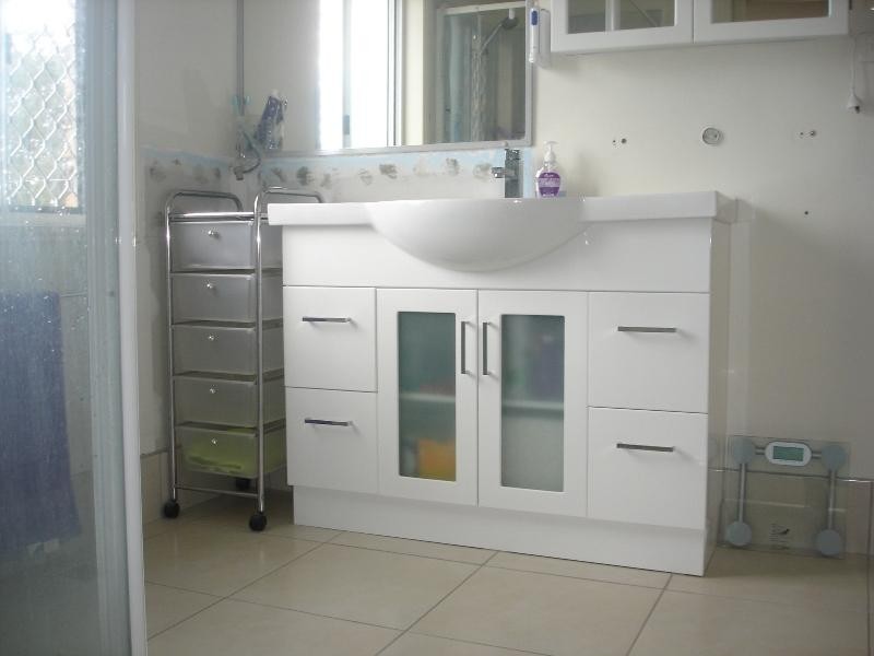 141 Collingwood Drive, Collingwood Park QLD 4301