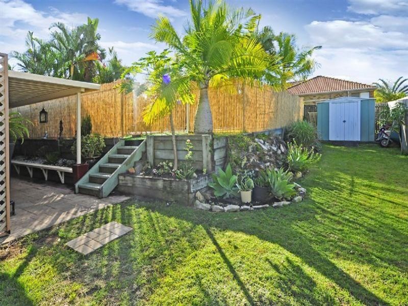 6 Tourmaline Street, Springfield QLD 4300