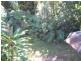 35 Meier Road, Camira QLD 4300