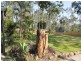 16 Lorikeet Lane, Bellbird Park QLD 4300