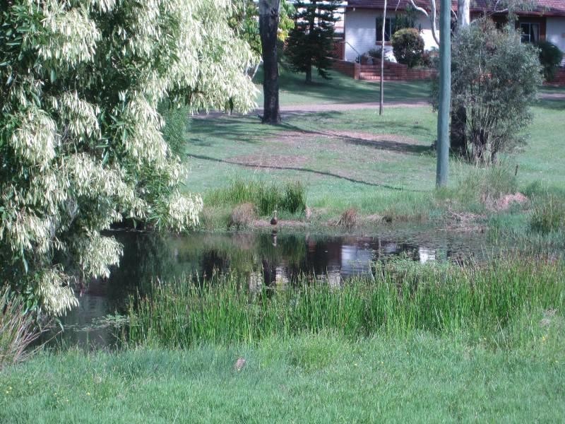 17-19 Jones Road, Bellbird Park QLD 4300