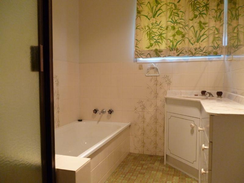 17 Renee Street, Redbank Plains QLD 4301