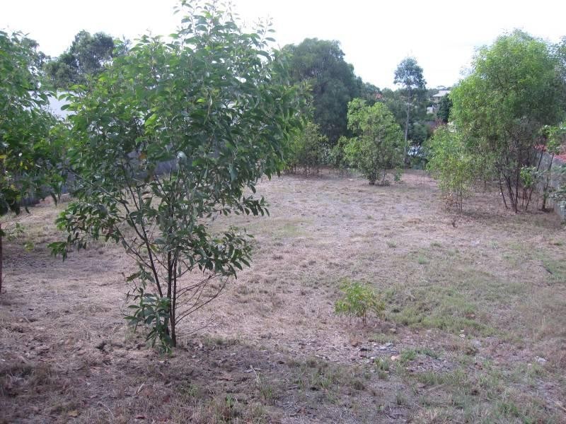 18 Aleisha Court, Collingwood Park QLD 4301